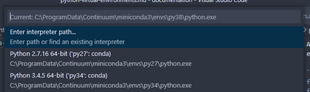 Selecting "Enter interpreter path..."